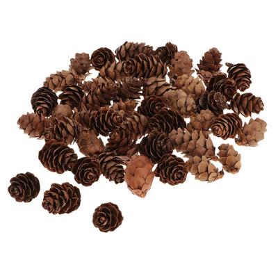 Decorative Pine Cones Ornament Natural Cone Vase Filler Potpourri for Christmas Table and Party