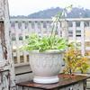 Handmade European-Style Embossed Flower Pot for Gardens and Villas
