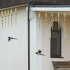 Bird Wind Twisting Scare Rods 10X Outdoor Bird Scarer Decorative Glossy House Control Reflectors For Outside To Keep Woodpecker