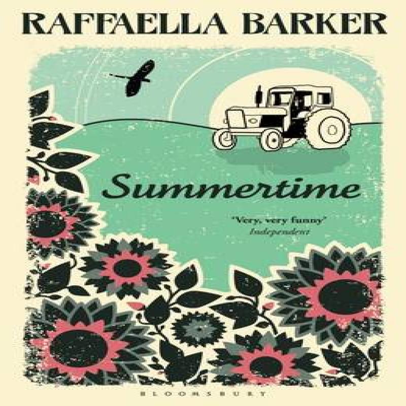 Summertime by Raffaella Barker Paperback Book 9781408850657