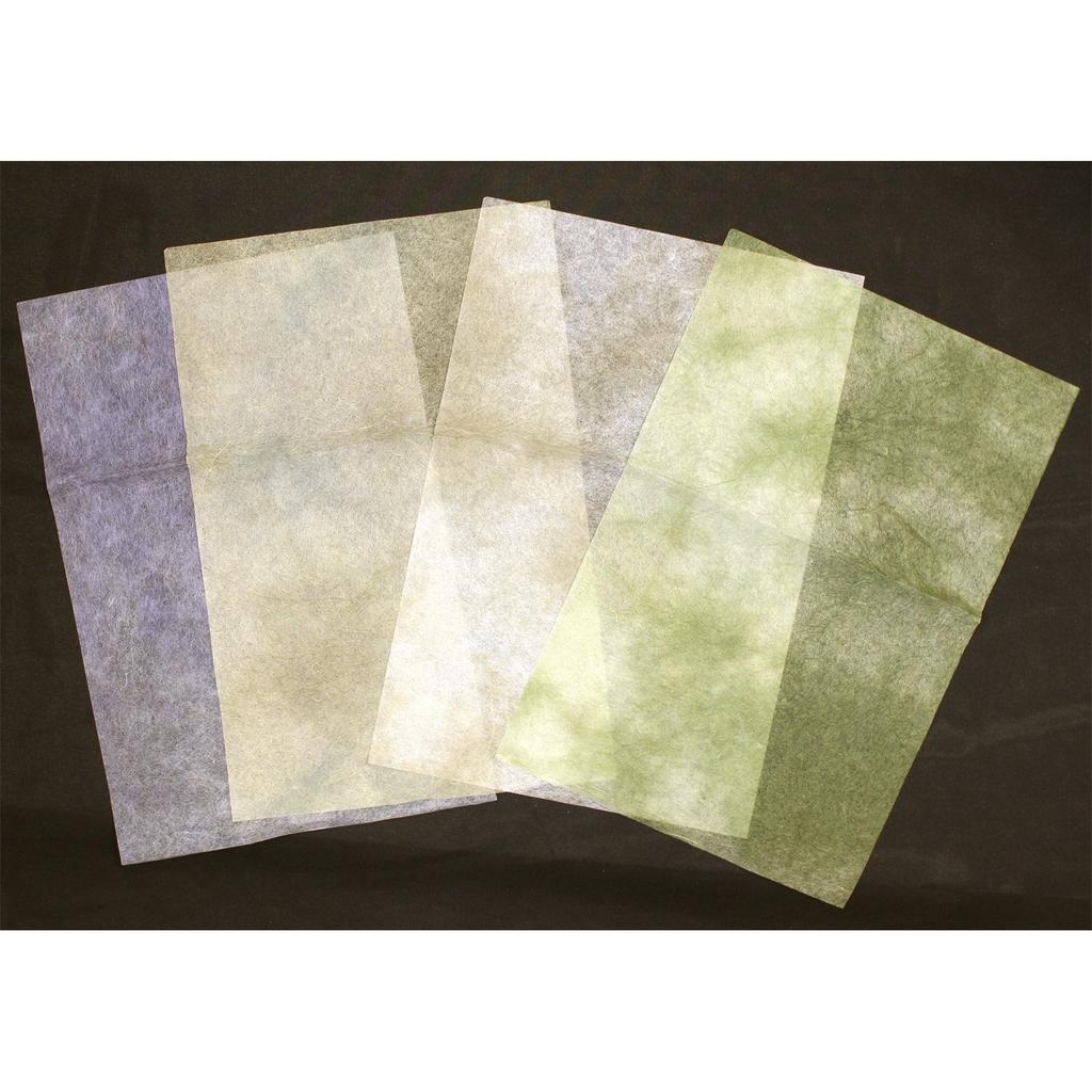 Kyoto's Elephant Washi Paper, Tosa Handmade Variety 10 Colors Set, 200x300mm 2-460