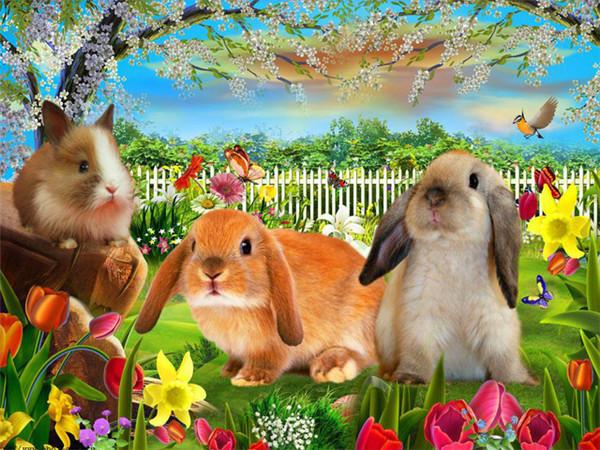 

5D Алмазная вышивка кролик полная квадратная Новое поступление алмазная живопись животное набор для вышивки крестом мозаичная картина украшение дома Round Drill 25x35cm