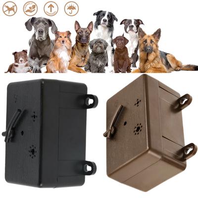 Köpek – Eğitim ve Öğretim Araçları