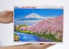 In Beverly 1000 Piece Jigsaw Puzzle Fuji and Juni River Cherry Blossom Trees X 72 [Made Japan] (49 Cm) 1000-014
