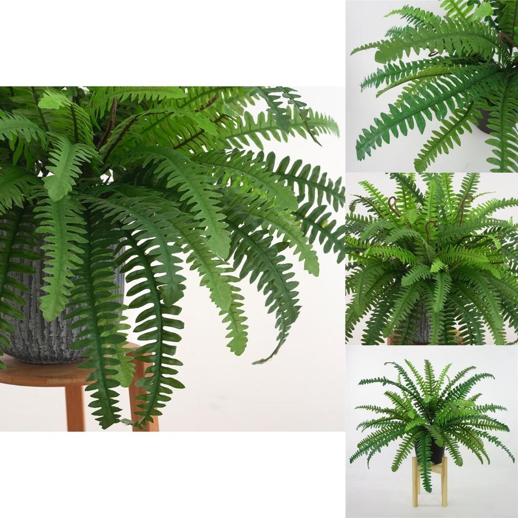 Fake Nephrolepis Cordifolia Plant Wall Decor With Multi Leaf Design For Event Decoration And Interior Use