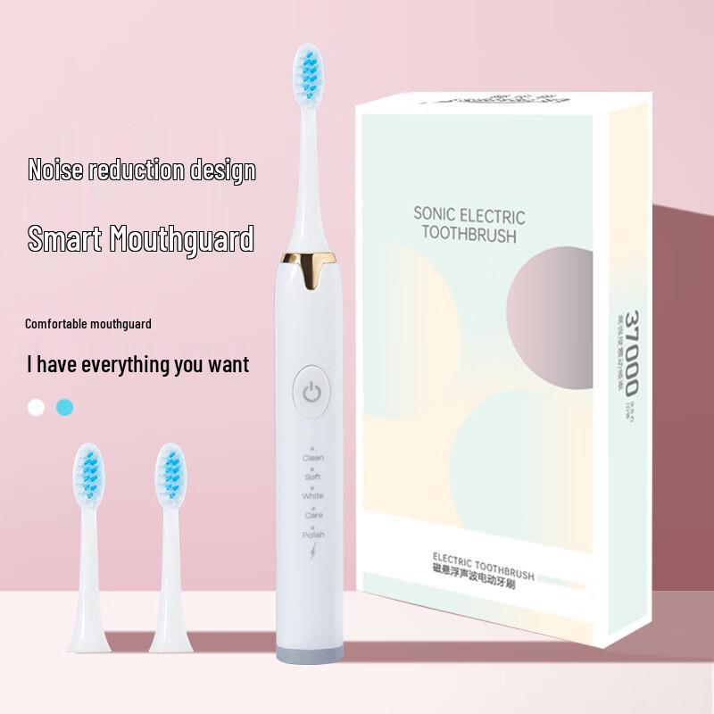 

DSK USB Rechargeable Electric Toothbrush