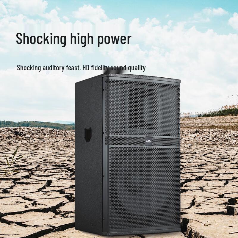 Runpu Professional Dual 10-inch Passive Conference Speaker (CN version)
