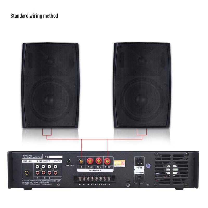 LINGSHENG FT-204 Wall-Mounted Conference Speaker System CN Plug (adapter Included)