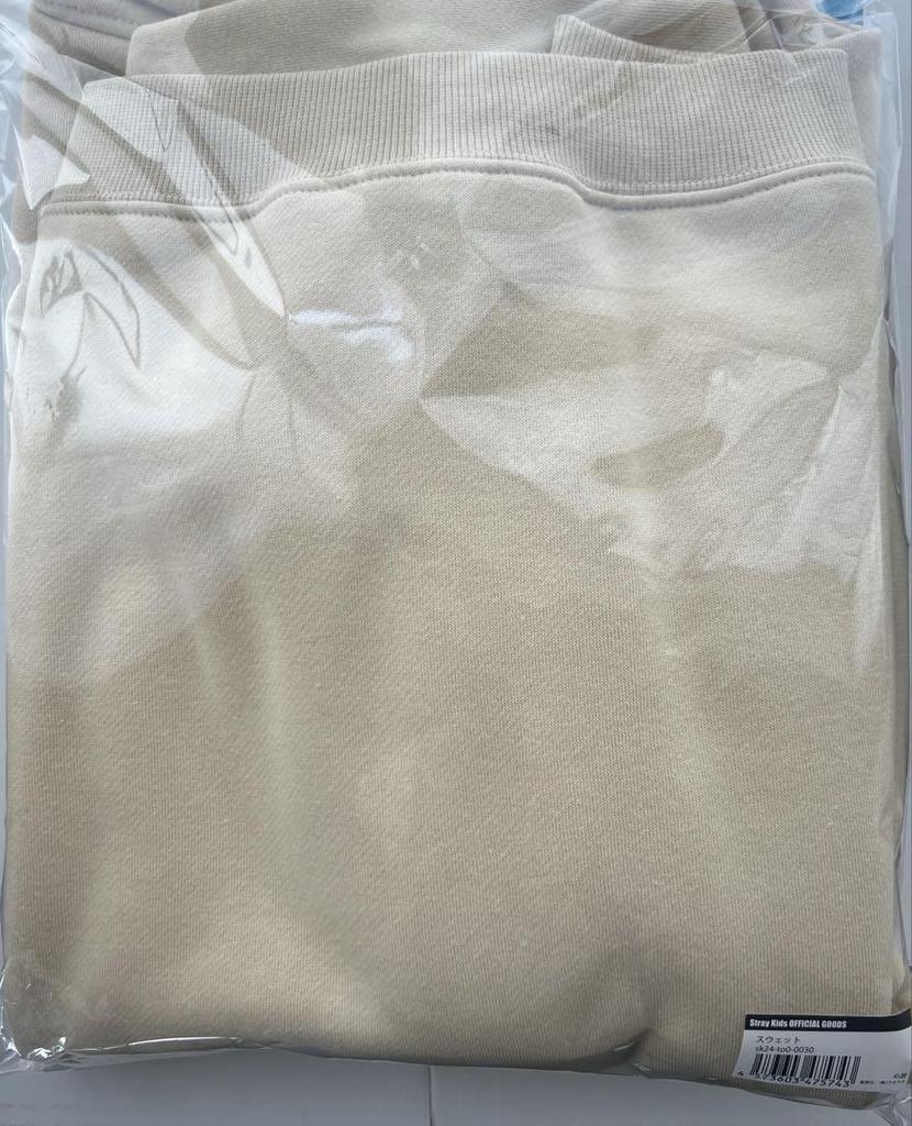 [USED] Stray Kids Men's Pro Ien