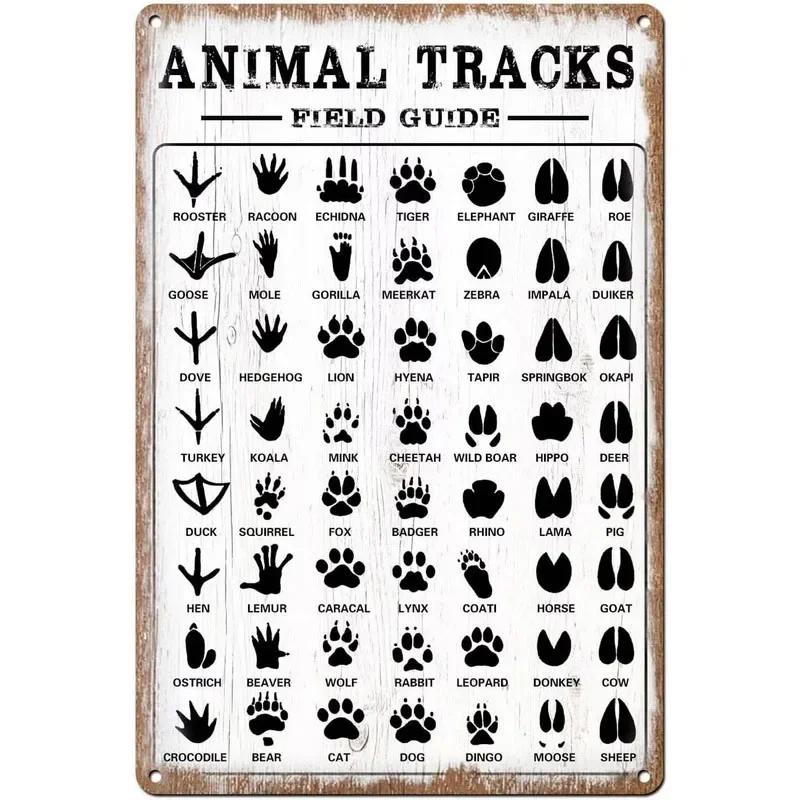 Vintage Tiki-Inspired Man Cave Signs - "Tool Rules", a Farm Fresh Decoration for Garage,Garden,Home,Cafe, Living Room, Club,