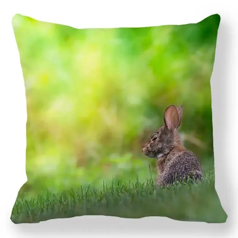 Home decoration bedroom bedside pillow cover living room sofa chair cushion cover x