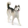 Schleich Wildlife Antarctic Expedition 42558