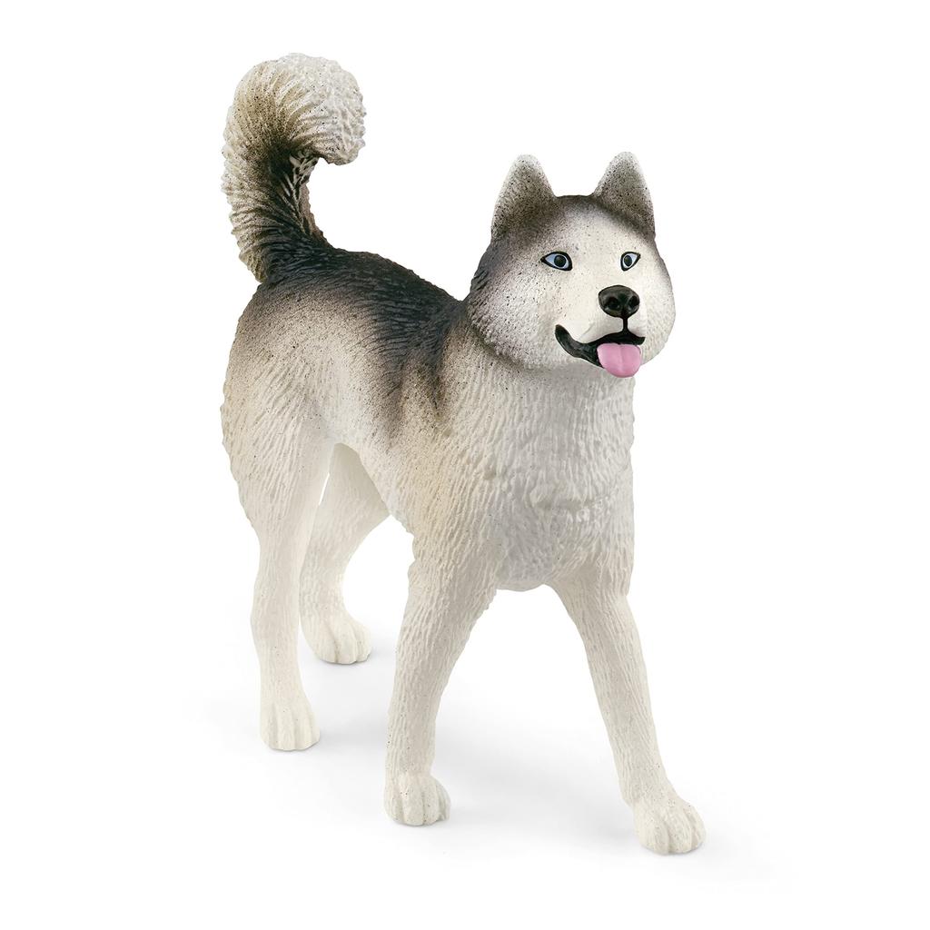 Schleich Wildlife Antarctic Expedition 42558