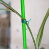 50/100M Nylon Power Wire Loop Tape Flower Cable Tie Wire Multi-function Straps Fastener Reusable Garden Cable Ties Tape Supports