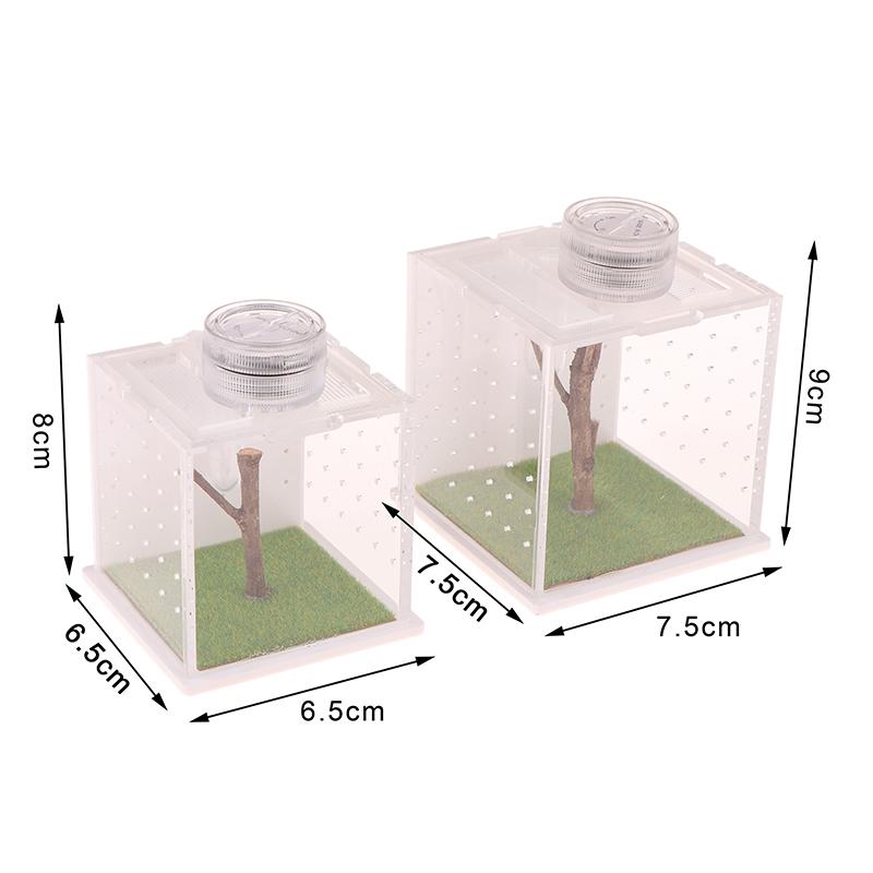 Springspinne Terrarium - Acryl Reptilien Zuchtbox Springspinne Box Mit Licht Luftbefeuchter Futterbehälter Zubehör
