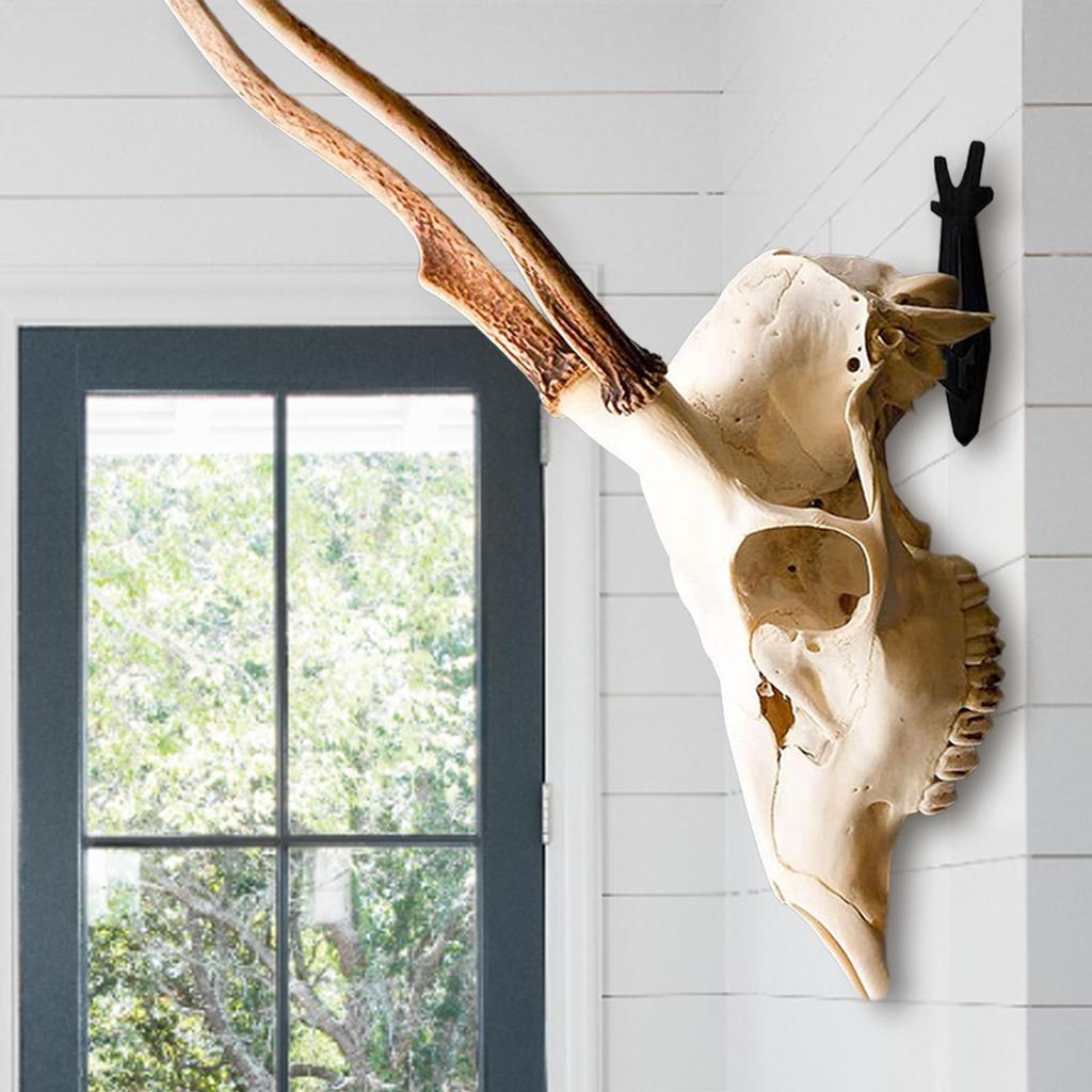 Skull Hanger European Mount Deer Head Hanger Hunting Trophy Mounts For Home Office Avid Hunters Taxidermy Enthusiasts Ranch
