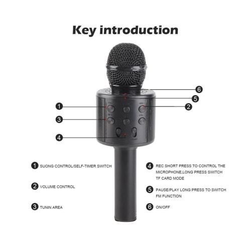 Microphone sans fil, Microphone de karaoké BT multifonctionnel 4-en-1 portable pour système de karaoké à domicile, fête KTV à domicile, voiture (Noir)