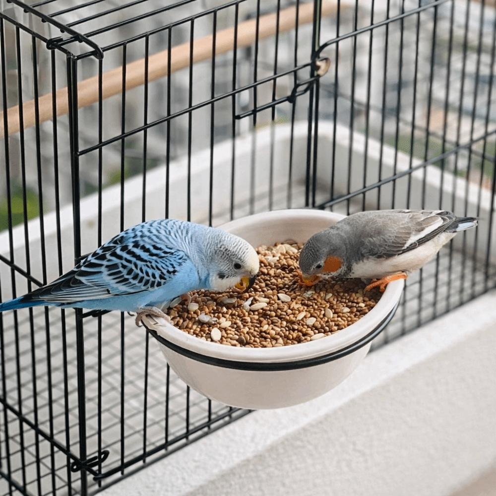 Wide Mouth Hanging Ceramic Parrot Bowl Detachable Prevents Spills Bird Feeding Bowl with Stand Parrot Water Feeder Small Pets