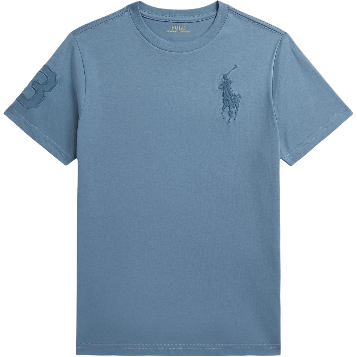 

Polo Ralph Lauren Футболка с вышитым логотипом Big Pony, с круглым вырезом, из хлопка, для детей, топ 323832907-503 L