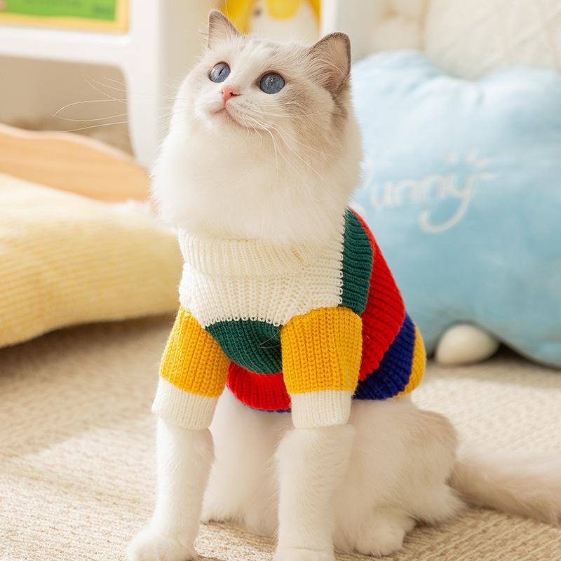 Cat clothes autumn and winter new round neck pullover sweater warm two-legged cat dog hairless cat pet clothing