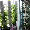 M-Moderno-Contenitore Torre Verticale Idroponica Tazza per Piantagione Idroponica Fai-da-te Contenitore per Fiori Vaso per Crescita Piante Tazza