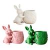 Mini Flowerpot 3D Printed Bunny Hugging Succulents Planter, Cute Rabbit Flower Pot with Embossed Planter Floral Body, Desk Decor for Office
