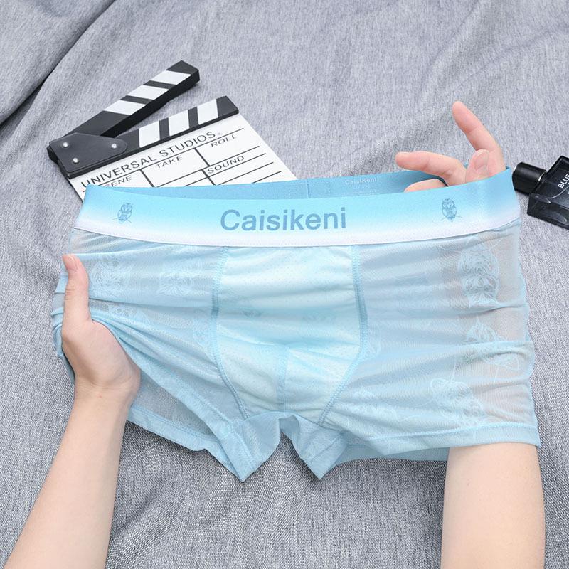 Men's 2025 Ice Silk Mesh Boxer Briefs - Transparent, Sexy, Thin Underwear