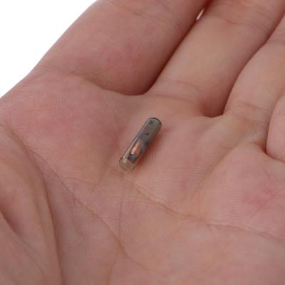 Transponder per Chiave Grezza ID48 Chip Sbloccato per Chiavi Auto