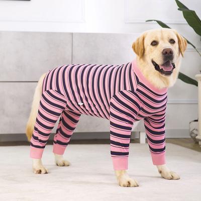 Roupa e sapatos – Macacões para cães