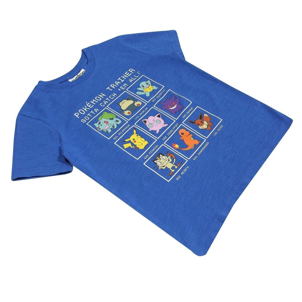 Pokemon Trainer Girl Shirt Pokemon Trainer Girl Shirt