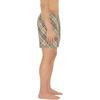 Burberry FW24 Beach Shorts Men's Multicolor 81018861
