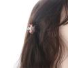 Korean style Small Versatile hairpin Hair accessories Acetic acid Hair Claw Flower grab clip