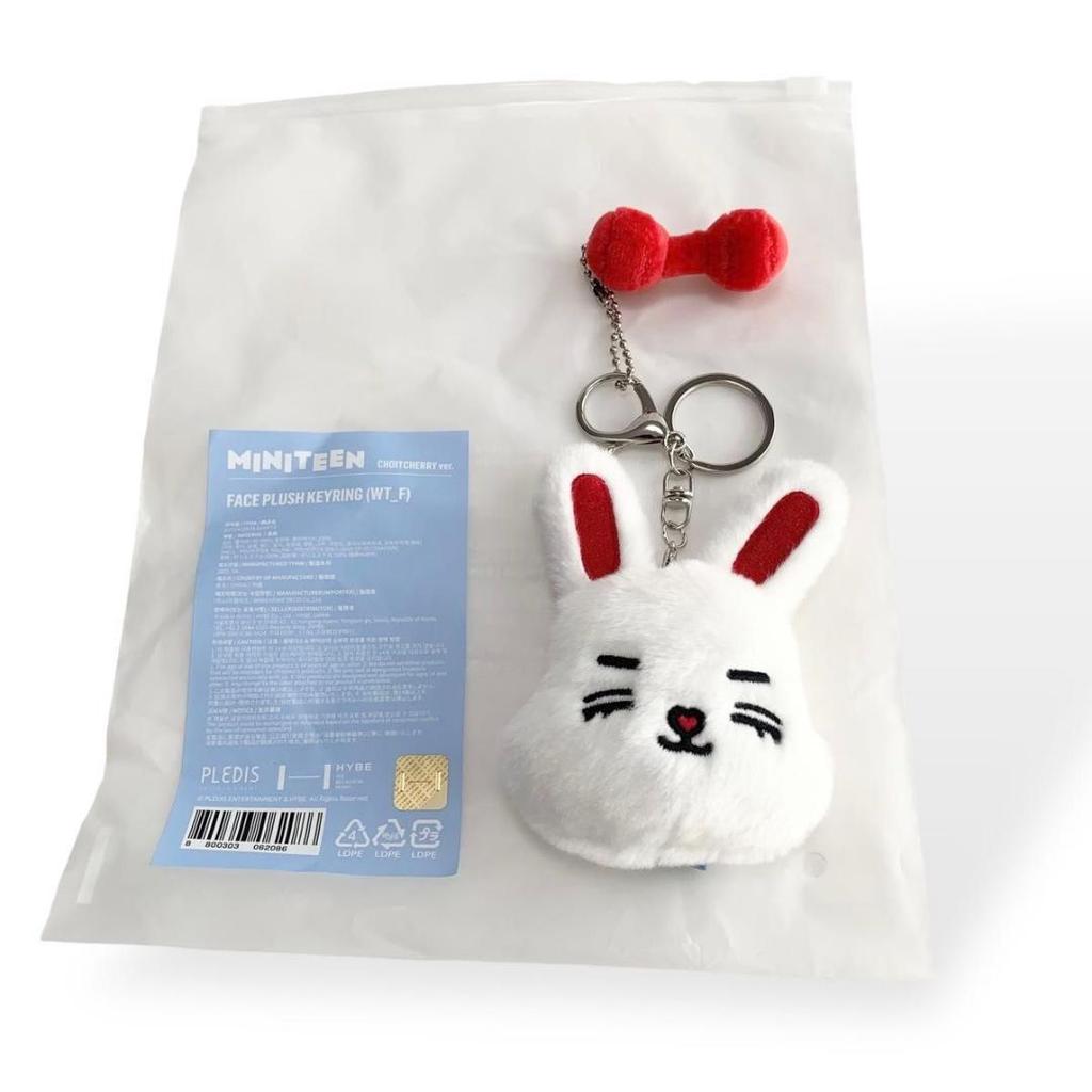 [USED] Miniteen Seventeen ChaeCherry Seungcheol S.Coups Keychain