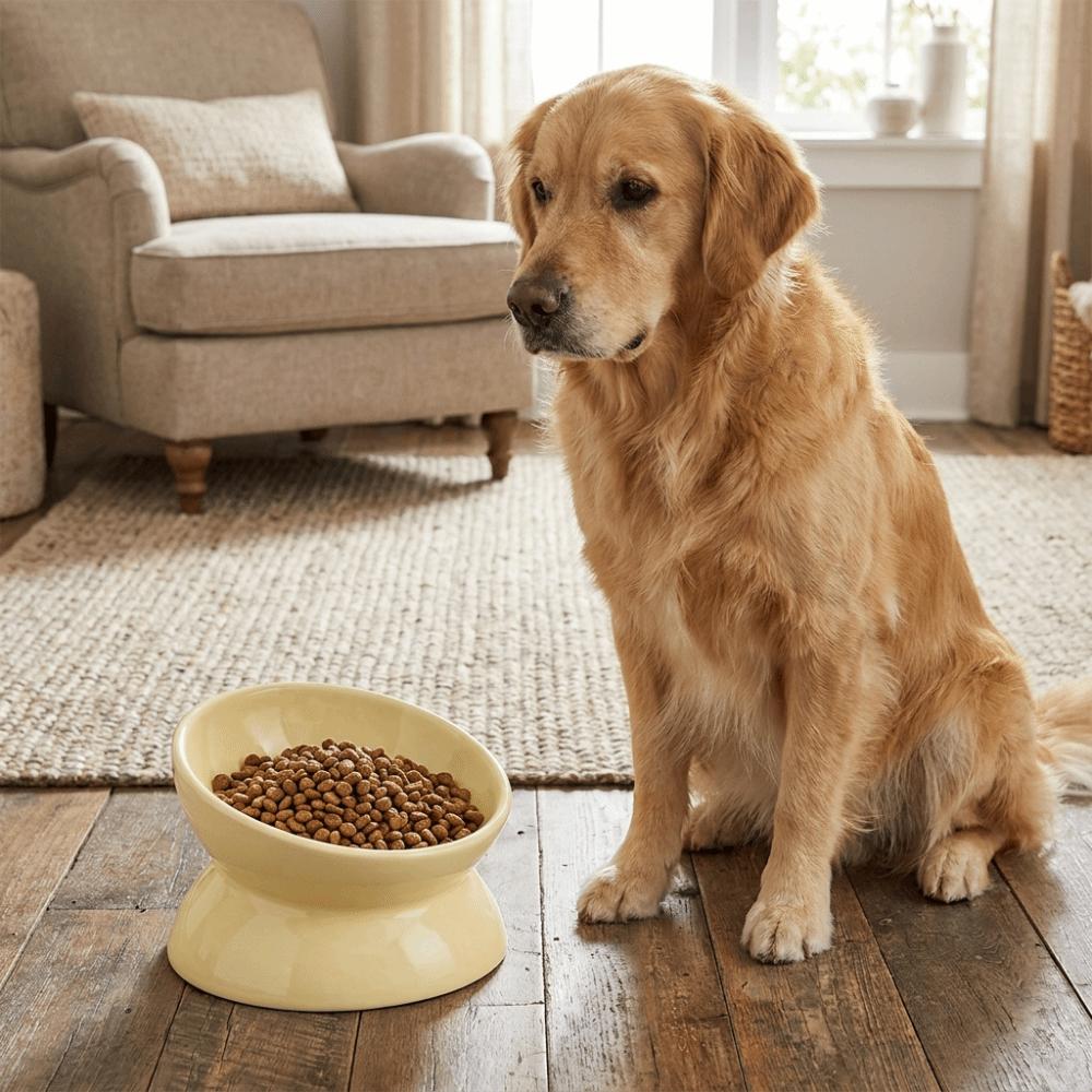 Anti Overturning Ceramic Elevated Cat Bowl Flat Bottomed Cat Feeding Bowl Cervical Protection