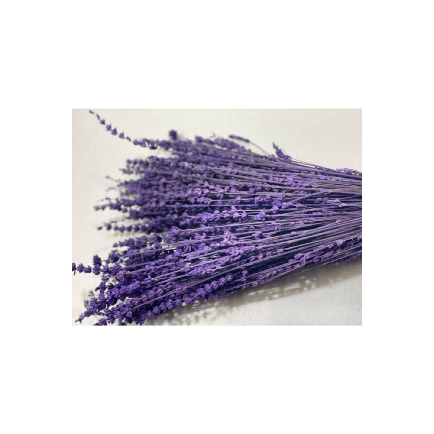 

Purple Shocked Lavender Real Lavender Bunch фиолетовый