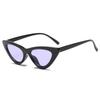 FASHION Sexy Cat Eye Sunglasses Triangle LADIES Small Size Modern Retro Designer Women Sun Glasses Shades for Lady