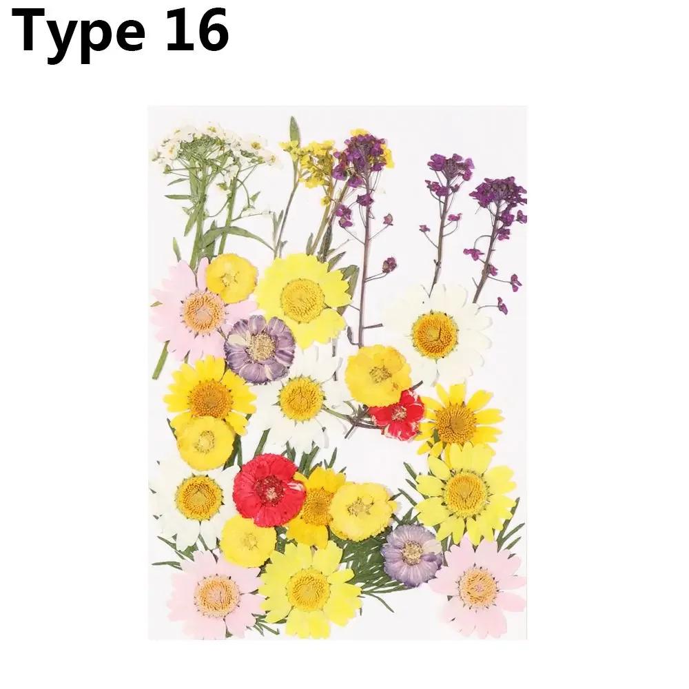Dried Flowers UV Resin Decorative Natural Flower Stickers 3D Pressed Dried Flowers Beauty Decal Nail Art Epoxy Mold Filling