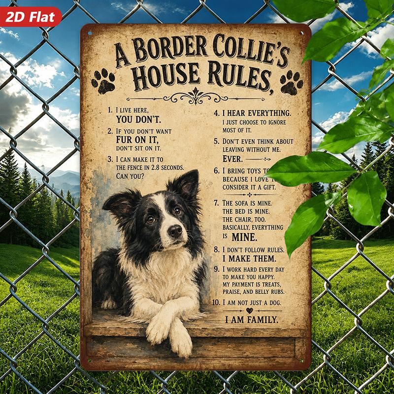 Border Collie House Rules Metal Sign