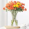 Transparent PET Vase for Water-cultured Flower Arrangements,Living Room Decorations,Hydroponic Containers,Large Flower Bucket