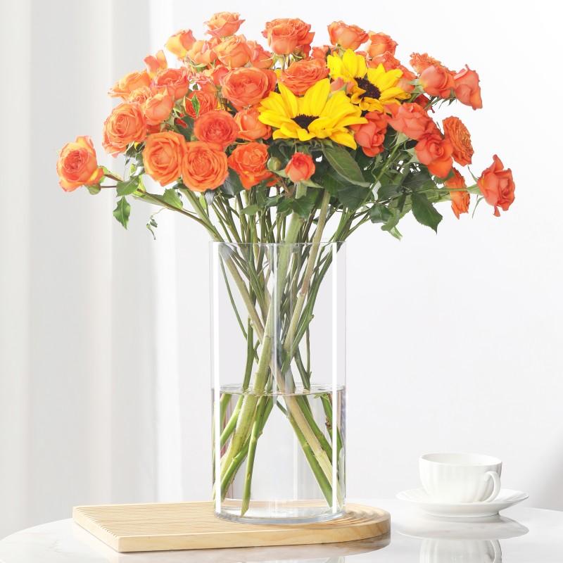 Transparent PET Vase for Water-cultured Flower Arrangements,Living Room Decorations,Hydroponic Containers,Large Flower Bucket