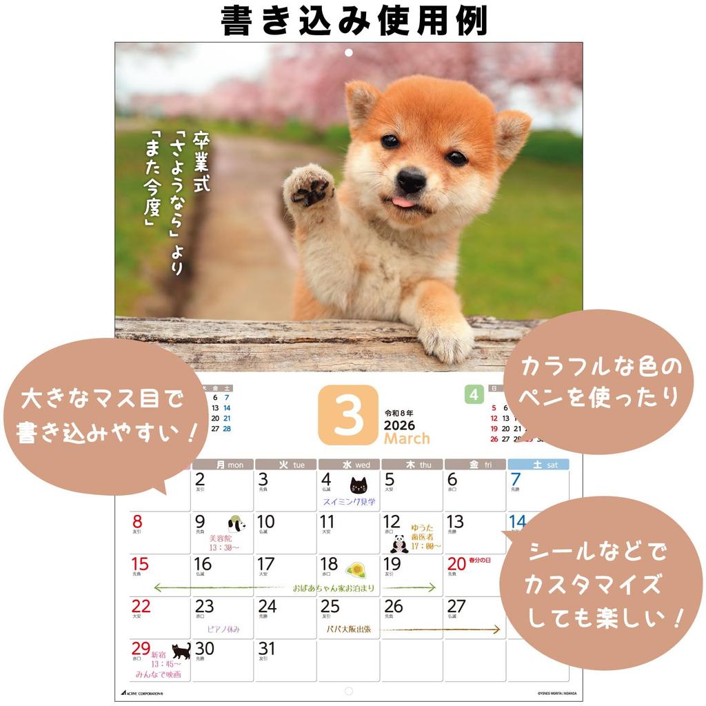 Active Corporation 2026 Wall Calendar Starts January 2026 (Because it's Shiba) 26ACL-64