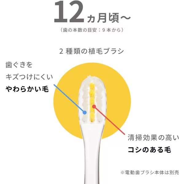 Pigeon Finishing Electric 2 Replacement Electric Set of 10 Kunutonn Original Logo Bonus First-time Toothbrush, Brushes, Toothbrush, +