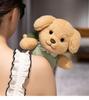 Little Red Book Cute Poodle Doll Plush Comfort Toy for Children