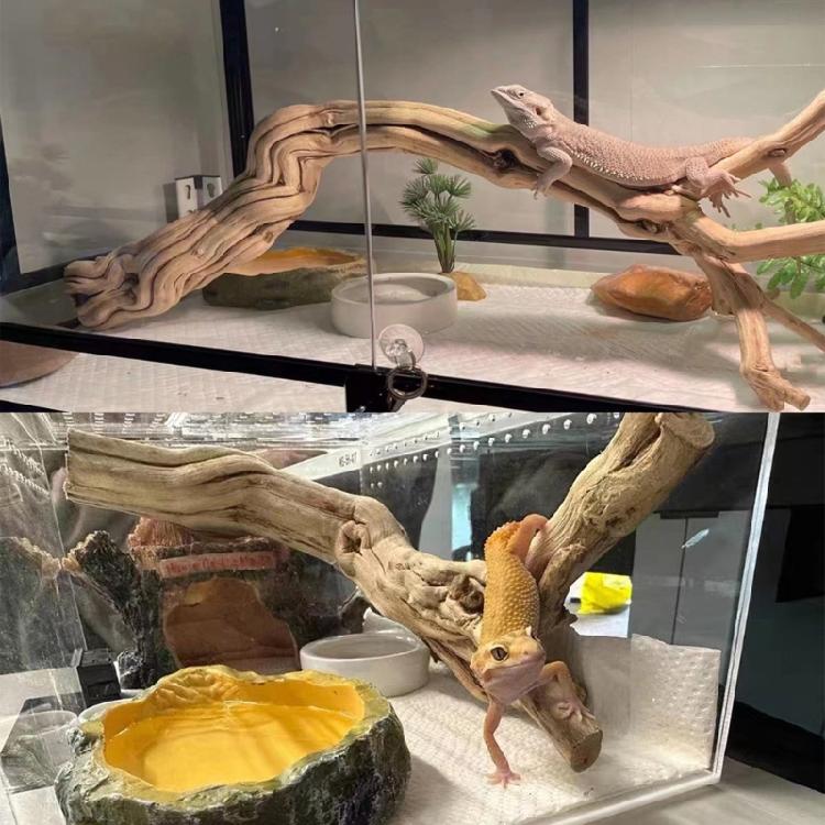 Jaskinia Pnia dla Gadów Naturalna Estetyka Hodowla Drewno Dryfujące dla Gadów Drewno Wspinaczkowe Jadalnie Akcesoria