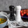 PEPPER AND SALT GRINDER SET 2794