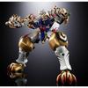 TAMASHII NATIONS Super Robot Wars GX-119 Ryukooh & Toriyuoh 210mm Diecast ABS PVC Painted Action Figure