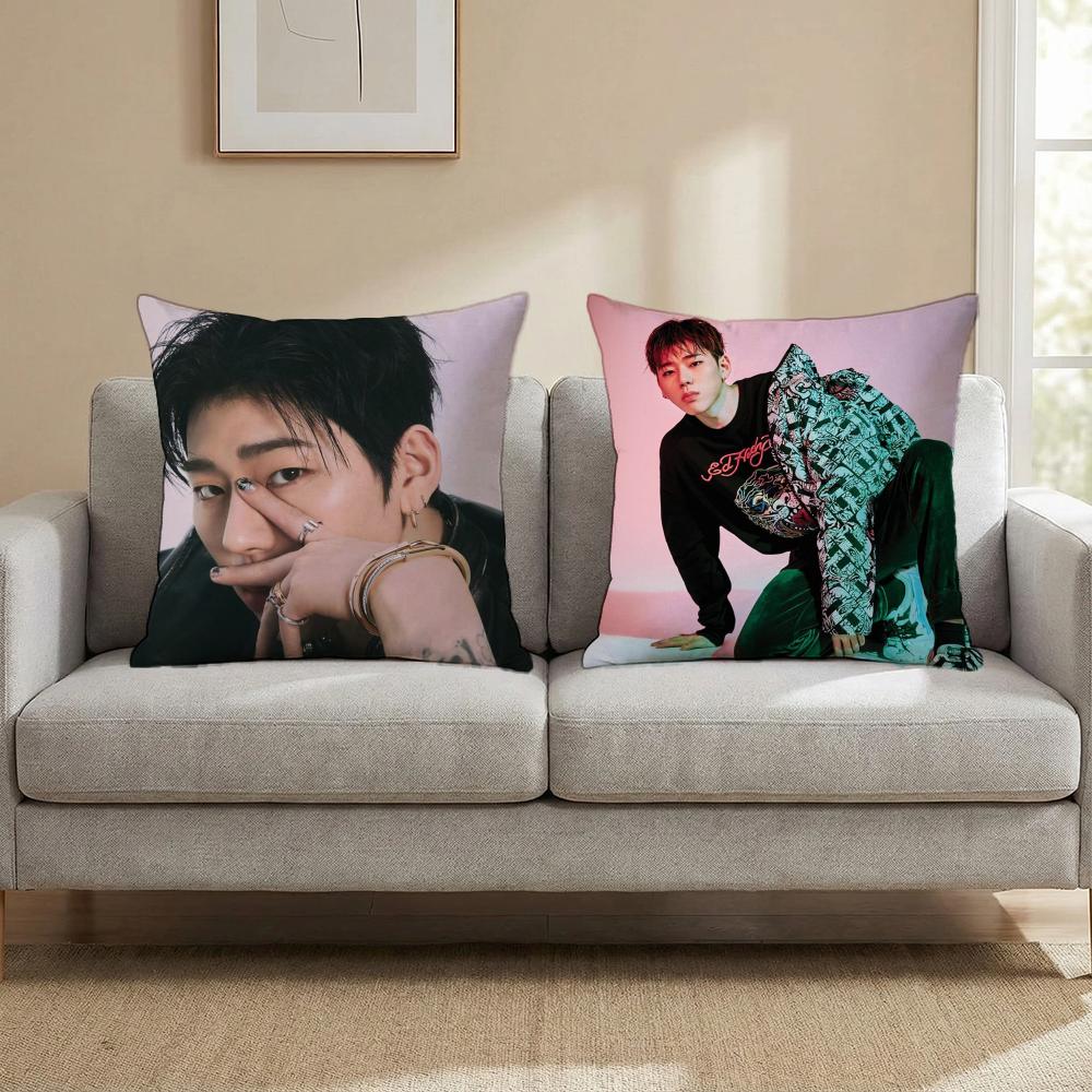 Z-ZICO SINGER Cushion Cover Multi-Scene Pillow Cover for Home & Car - Reversible, Soft & Durable for Daily Use