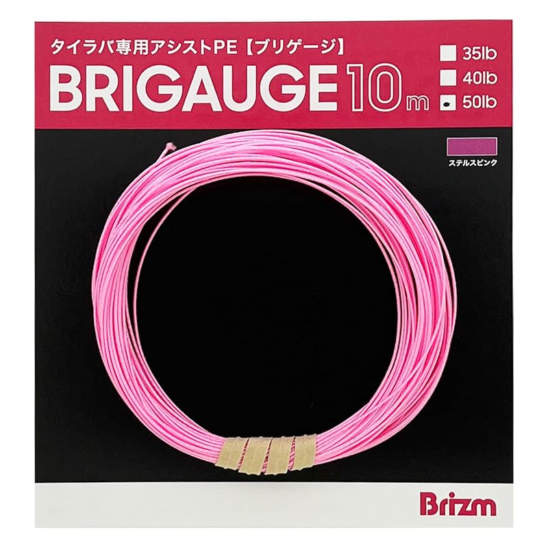 Brizm Brigauge PE Assist Line for Tai Rubber, 50lb (#8) with Core, 10m