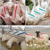 1 Piece Livestock Marking Crayon Wax Marker Pencil for Pig Cow Goat Sheep Horse Donkey Farming Supplies