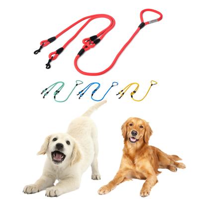 Perros – Collares y correas